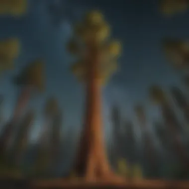 Majestic Sequoia Forest Under Starlit Sky