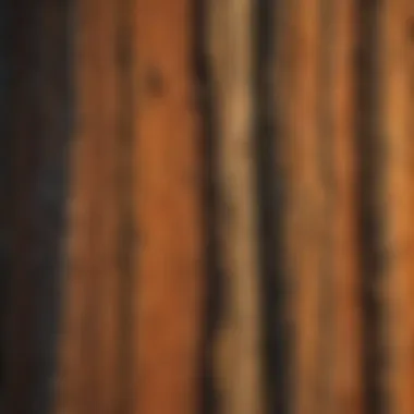 Majestic Sequoia Tree Bark Close-Up