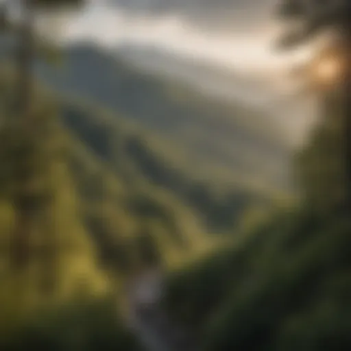 Majestic Smoky Mountains Vista in Cherokee NC