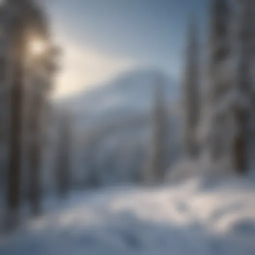 Majestic snow-capped Mt. Bachelor in winter