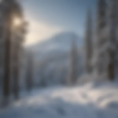 Winter Wonderland: Mt. Bachelor Blanketed in Snow Majestic snow-capped Mt. Bachelor in winter