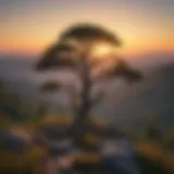 Majestic sunrise over Garner Mountain