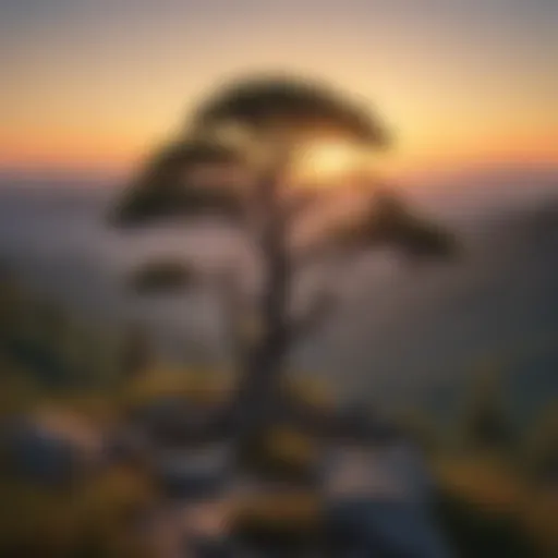 Majestic sunrise over Garner Mountain