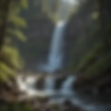 Majestic Waterfall Views Majestic waterfall views at Coal Creek