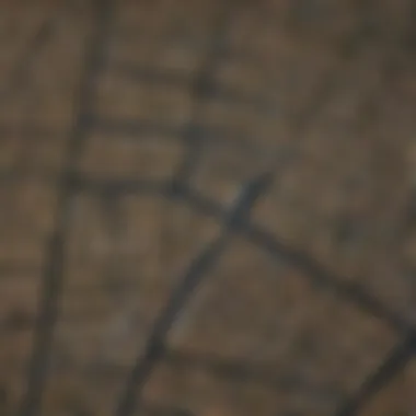 Urban Planning Trends Mapping Mapping Urban Planning Trends with GIS