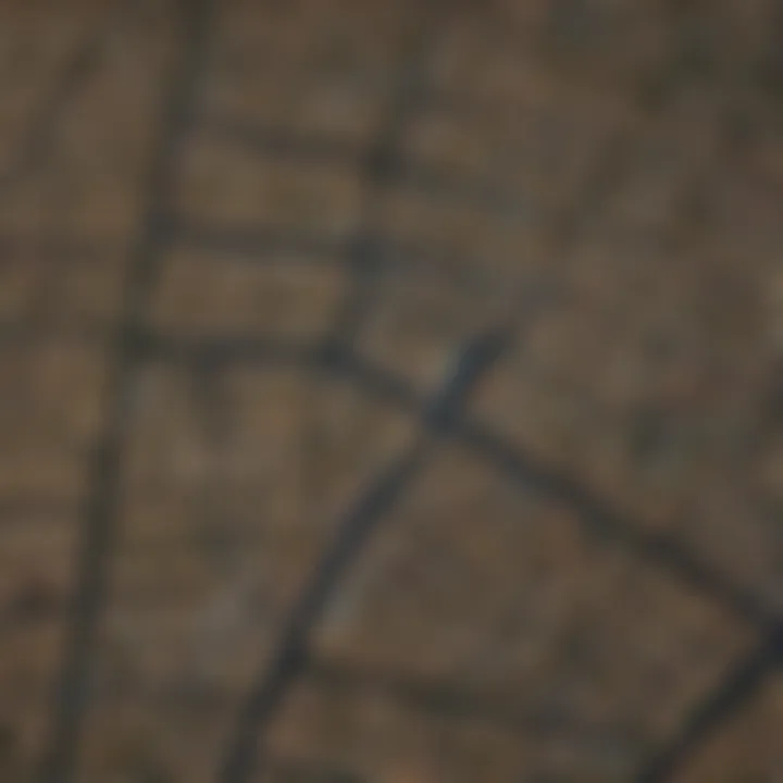 Urban Planning Trends Mapping Mapping Urban Planning Trends with GIS