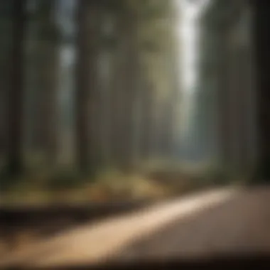 Market Price Fluctuations Analysis