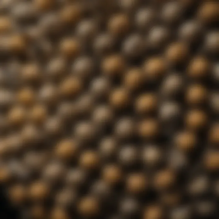 Material selection in a wasp nest