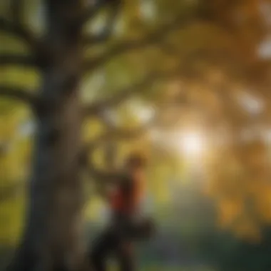 Mature arborist inspecting tree for cutting license