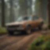 Timber Investment Portfolio Diversification Timber Investment Portfolio Diversification