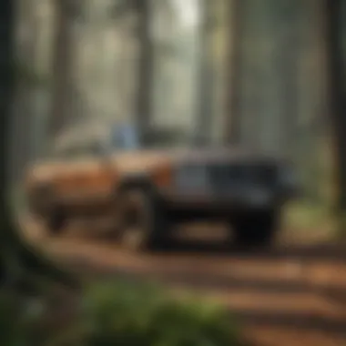 Maximizing Returns Through Strategic Timber Investments Maximizing Returns Through Strategic Timber Investments