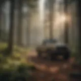 Sustainable Forestry Practices - Efficient Resource Management
