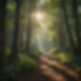 A tranquil view of a memorial forest with sunlight filtering through the trees