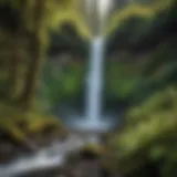 Majestic Waterfall Cascading Through Lush Greenery