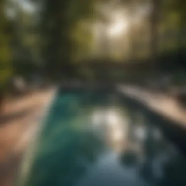 Reviving Pool Elegance: Metal Stain Removal Metal Stains Being Removed by Vitamin C Treatment