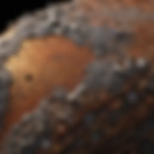 Microscopic Corrosion Evaluation
