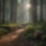 A serene forest landscape showcasing sustainable forestry practices