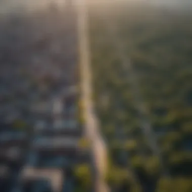 Aerial view of Minneapolis showcasing urban tree canopy