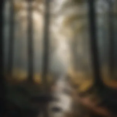 Enigmatic Aura of Talladega Misty Morning at Talladega Fall