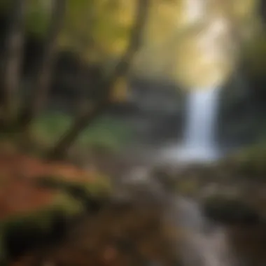 Enigmatic Cascade: Misty Forest Fall Misty Waterfall in Forest