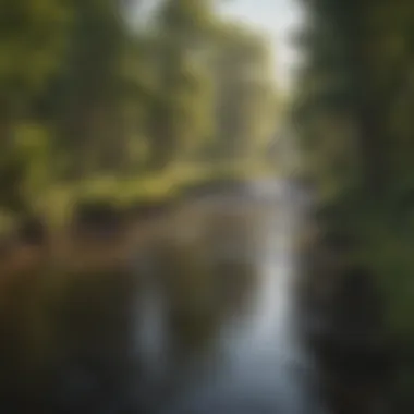 Reviving Rivers through Restoration in MN DNR River Restoration Project in MN DNR