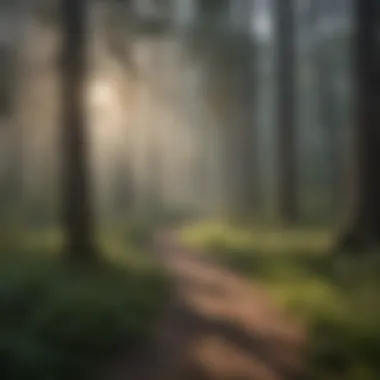 Modern interpretation of Behr Boothill Grey's enigmatic allure