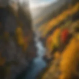 Vibrant Autumn Foliage Surrounding the Montana Gold Mine