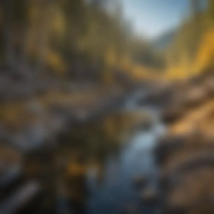 Pristine Water Source Near the Montana Gold Mine