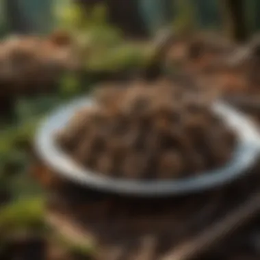 Culinary presentation of morel mushrooms in a dish