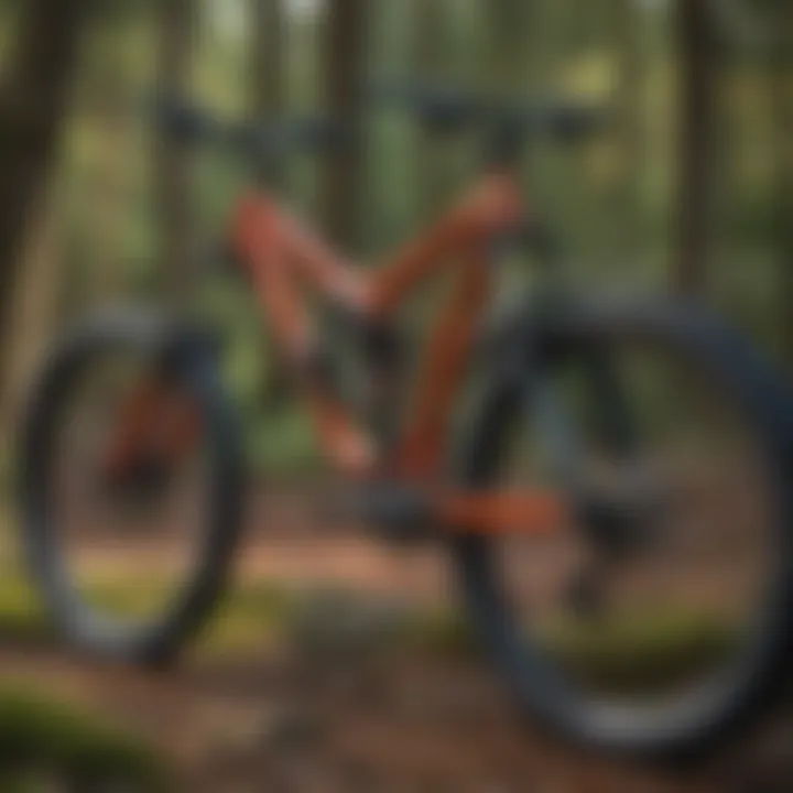 Mountain bike gear essentials for Alum Creek trail
