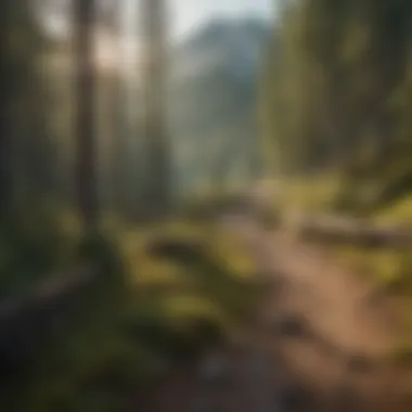 Mountain landscape with winding trails