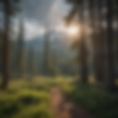 Real-time weather patterns captured by Mt. Shasta Weather Cam