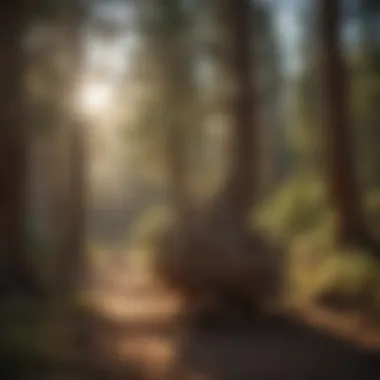 Mysterious Origins of TBTC Tularosa