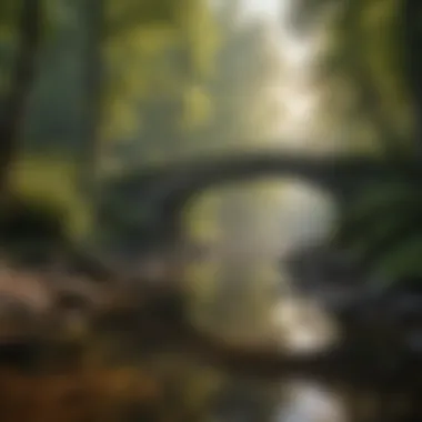 Mystical Ambiance of Forest Bridge Mystical Ambiance of Forest Bridge