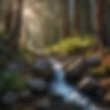 Mystical Energy Flowing at Mt. Shasta