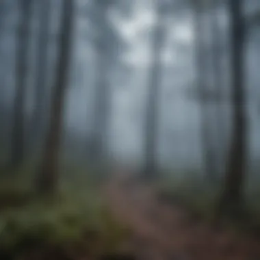 Mystical Fog Blanket