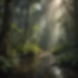 Invasive Species in Tropical Rainforest