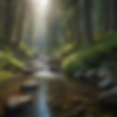 Nature's Tranquility: National Parks Experience Crystal clear river flowing through lush green forest