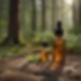 Natural essential oils as deer tick repellent
