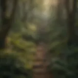 Unlocking Business Potential Navigating through a maze of business tools