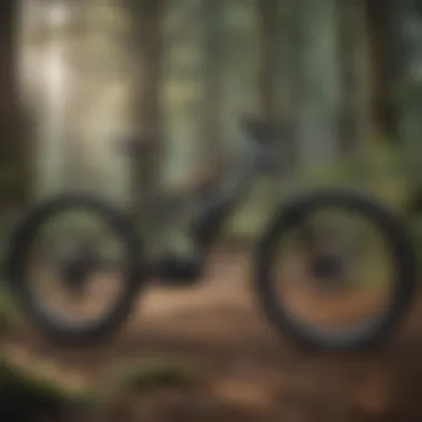 Classification System for Electric Bicycles Ebikes Classifications