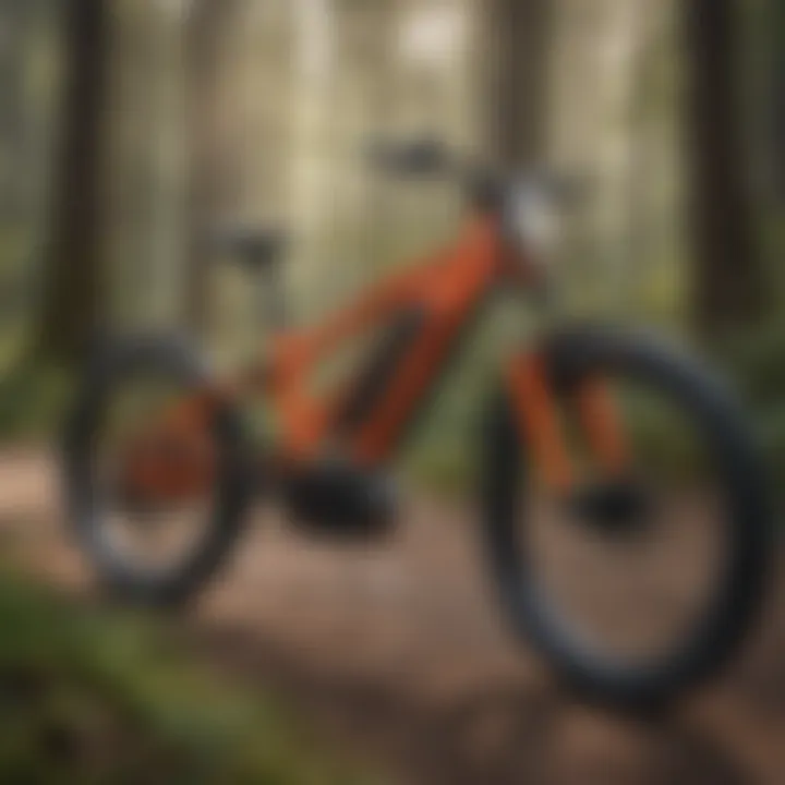 Ebikes with Advanced Safety Features