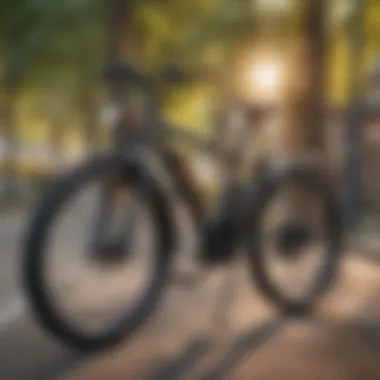 Electric Bicycles in Urban Environment Ebikes on Urban Street