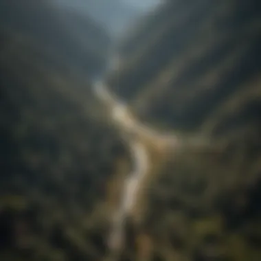 Aerial view of the California Pass highlighting forestry management practices