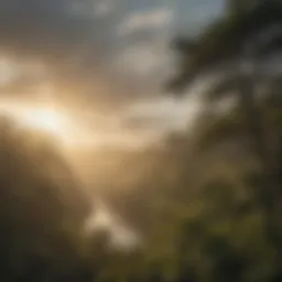 Aerial View of Neotropical Migratory Birds in Flight