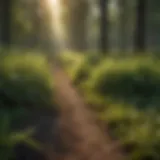 Effective Non-Selective Herbicide Application Non-selective herbicide application on weeds