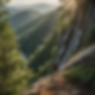 Scenic Climbing Landscape in North Carolina A picturesque view of a climbing area surrounded by lush greenery