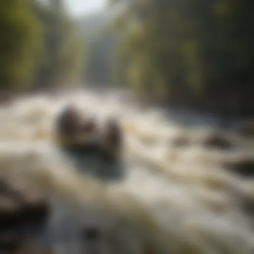 Rapid Rush Rapid Rush: Navigating Through the Ocoee Waters