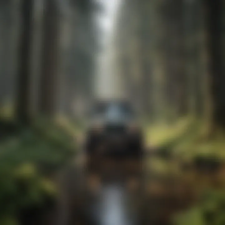 Immersing in Nature: Off-Road Adventure in Oregon Forest Off-Road Adventure in Oregon Forest