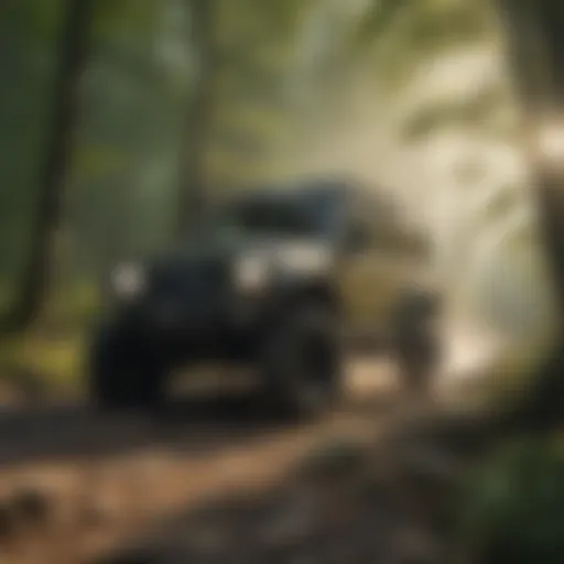 Off-Road Adventure Amidst West Virginia's Wilderness